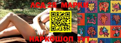 гашик Старая Купавна