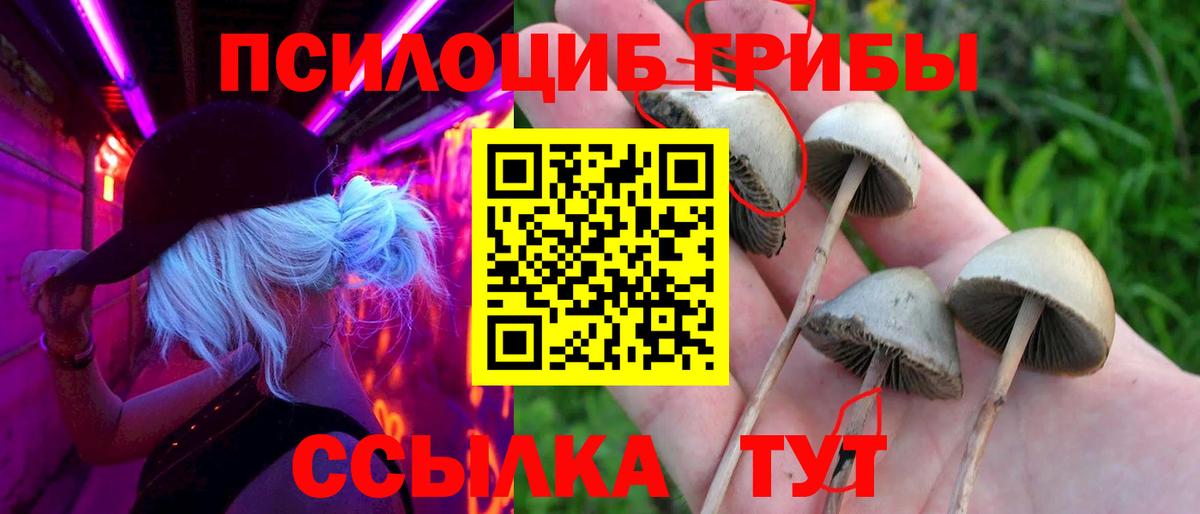 Ликино-Дулёво  Галлюциногенные грибы GOLDEN TEACHER  Вход с VPN  Галлюциногенные грибы Psilocybine cubensis 